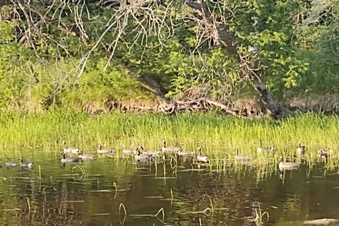 Great Woods Park