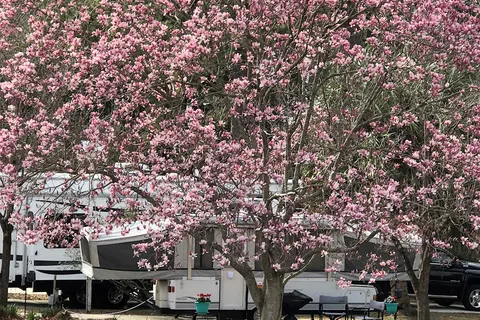 River Park RV Park