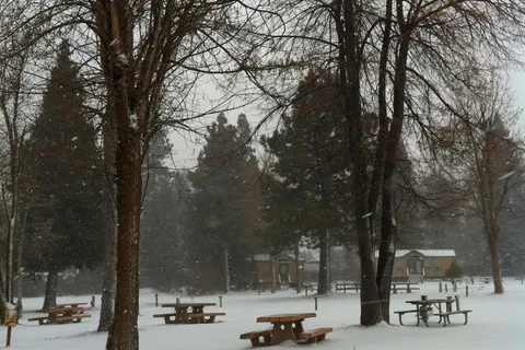 Mount Shasta City KOA Holiday