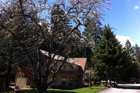 Mount Shasta City KOA Holiday