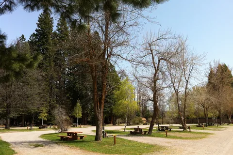 Mount Shasta City KOA Holiday