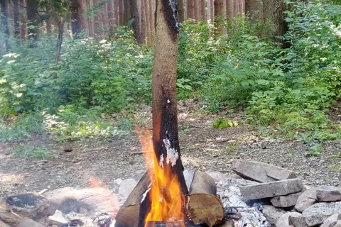 Evergreen Trails Campgrounds