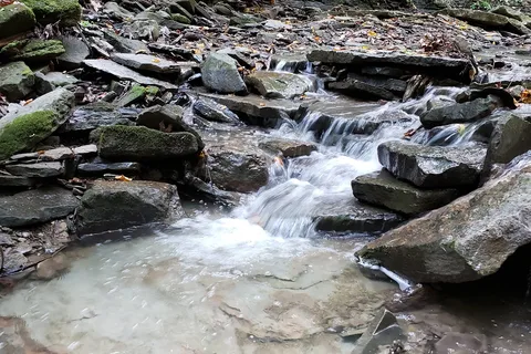 Evergreen Trails Campgrounds