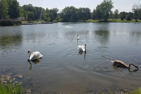 Sports Lake Campground