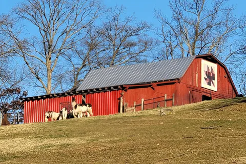 Lazy Llama Campground