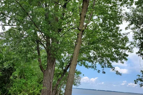 Marble Beach State Recreation Area