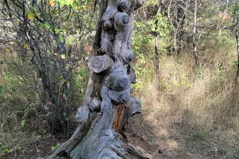 Tawas Point State Park