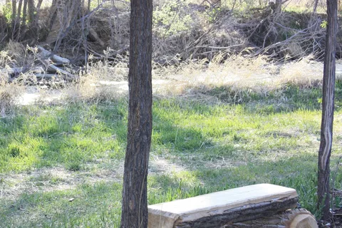 Uncompahgre River RV Park