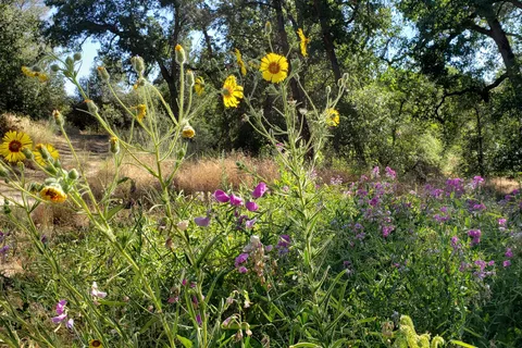 High Sierra RV Park