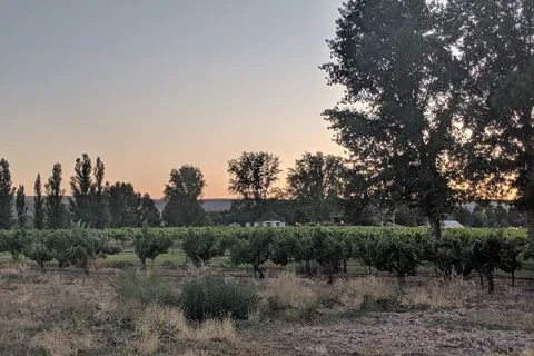 Y Knot Winery RV Park