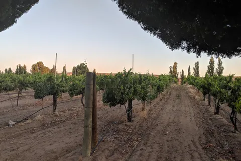 Y Knot Winery RV Park