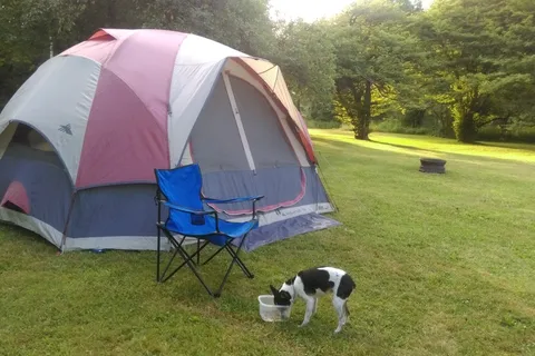 Yellow Lantern Kamp Grounds