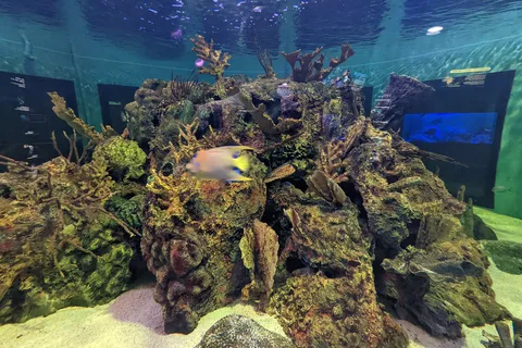 John Pennekamp Coral Reef State Park