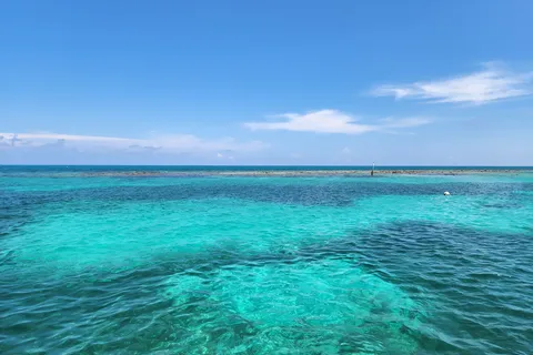 John Pennekamp Coral Reef State Park
