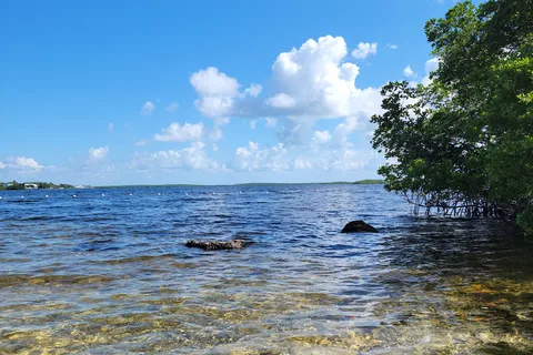 John Pennekamp Coral Reef State Park