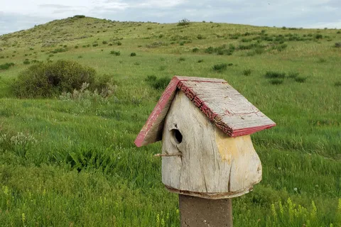 7th Ranch RV Camp