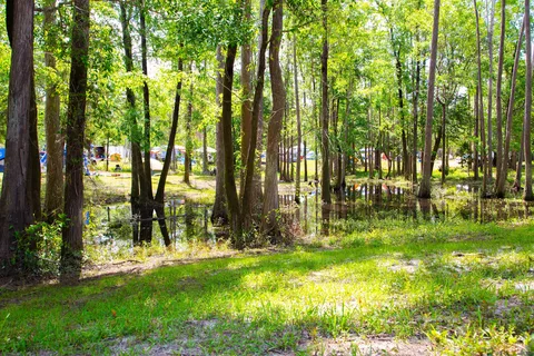 The Retreat RV and Campground on Styx River