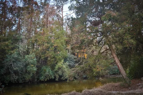 The Retreat RV and Campground on Styx River