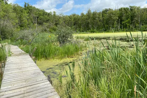 Adam - Turtle Mountain Provincial Park