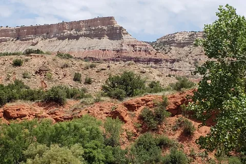 Canyon de Palo Duro