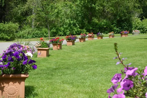The Canyon RV Resort and Campground
