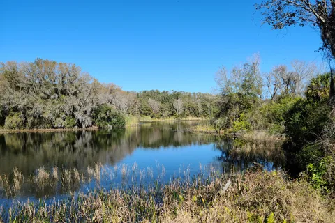 Alafia River State Park