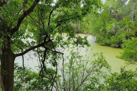 Alafia River State Park