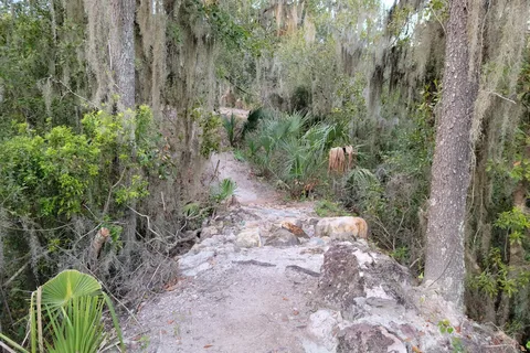 Alafia River State Park