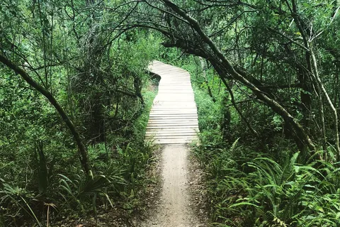 Alafia River State Park