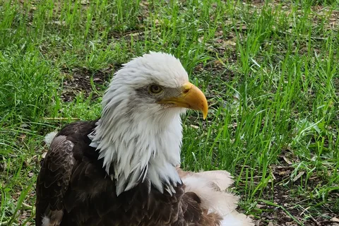 Sequoyah State Park