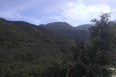Ortega Oaks RV Park and Campground