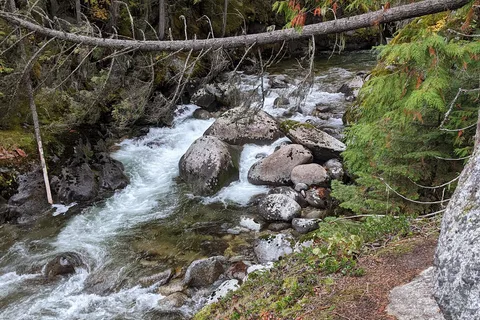 Kokanee Creek Provincial Park