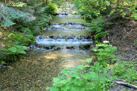 Kokanee Creek Provincial Park