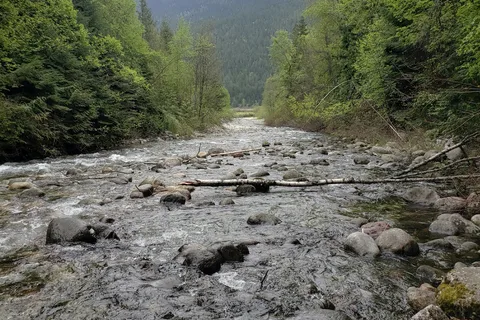 Kokanee Creek Provincial Park