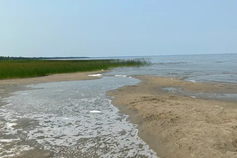 Big Bog State Recreation Area Southern Unit