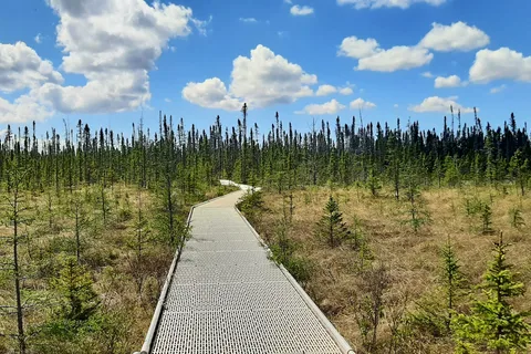 Big Bog State Recreation Area Southern Unit