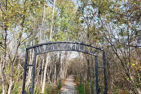 Big Bog State Recreation Area Southern Unit
