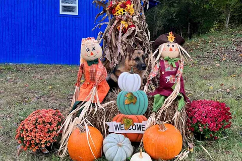 Foggy Bottom Campground