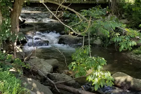 Devils Backbone Camp