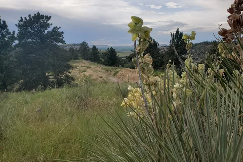 Area 3 - Wildcat Hills State Recreation Area