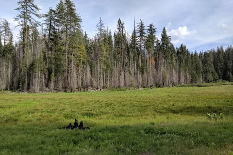 Hodgdon Meadow - Yosemite National Park
