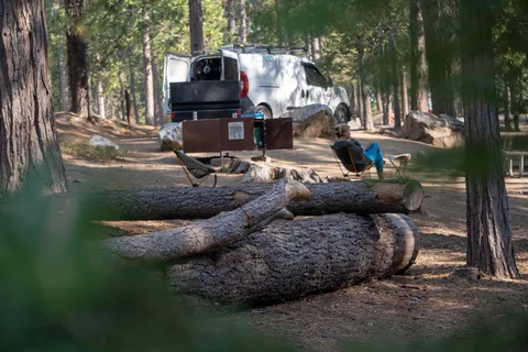 Hodgdon Meadow - Yosemite National Park