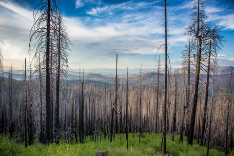 Hodgdon Meadow - Yosemite National Park
