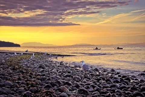 Kitty Coleman Beach Provincial Park