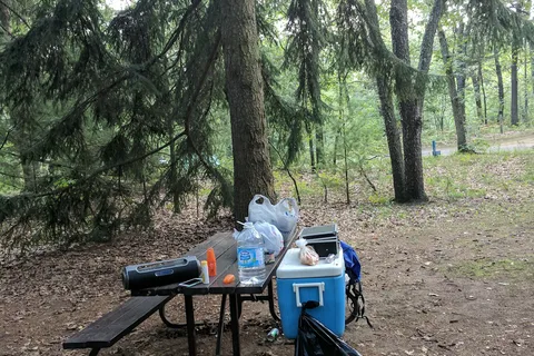 Turkey Point Provincial Park