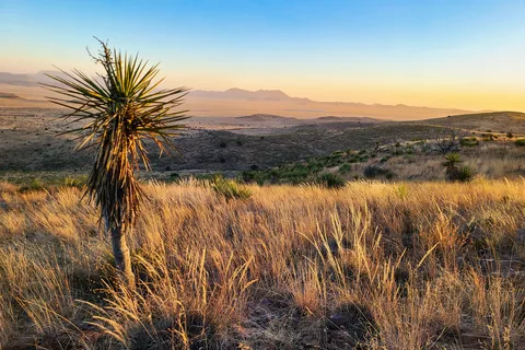 Main - Davis Mountains State Park