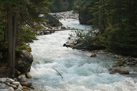 Illecillewaet Campground - Glacier National Park