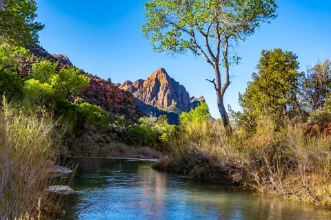 South Campground - Zion National Park