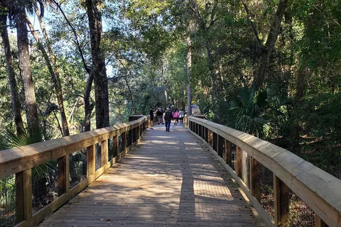 Blue Spring State Park