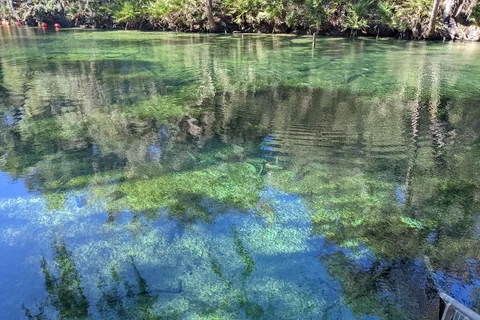 Blue Spring State Park